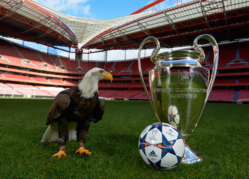 西班牙人队的崛起：从保级到欧洲梦想（西班牙人队逆袭之路：从保级苦战到冲击欧洲）